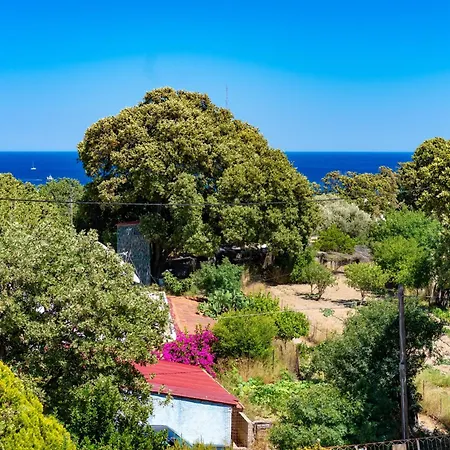 בית נופש Daphne's Tropical House Rhodes *