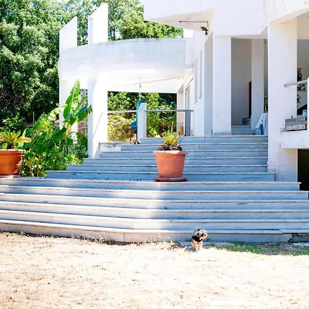 Daphne's Tropical House Rhodes * Rhodes City