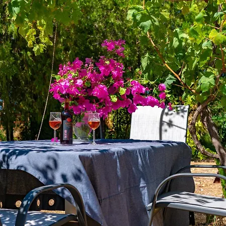 Daphne's Tropical House Rhodes Σπίτι διακοπών